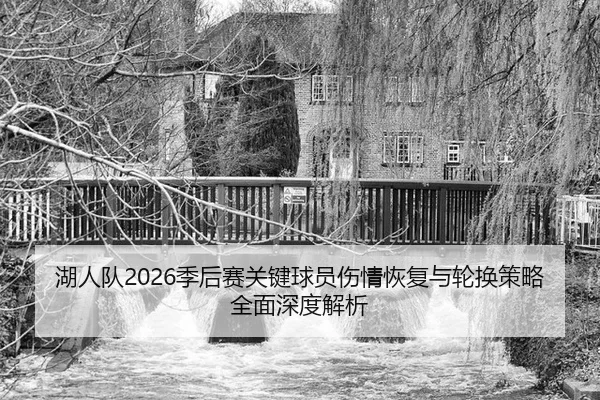 湖人队2026季后赛关键球员伤情恢复与轮换策略全面深度解析